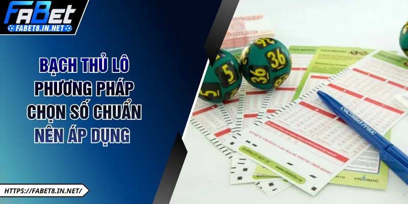 Bạch thủ lô phương pháp chọn số chuẩn nên áp dụng 