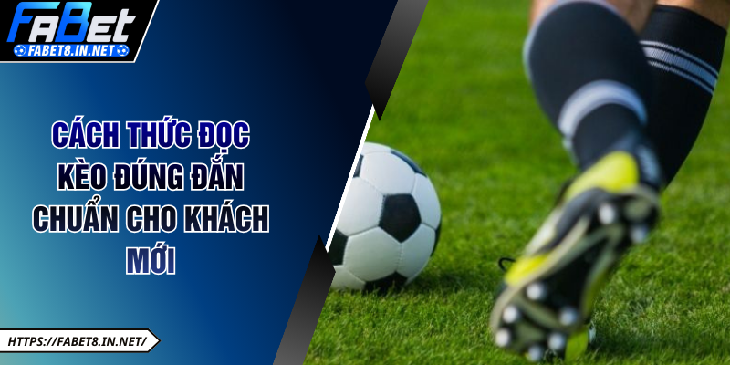 Cách thức đọc kèo đúng đắn chuẩn cho khách mới