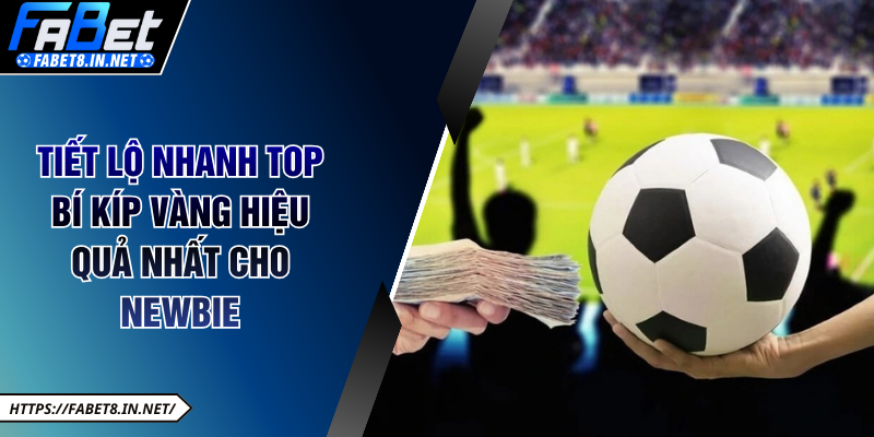 Tiết lộ nhanh top bí kíp vàng hiệu quả nhất cho newbie